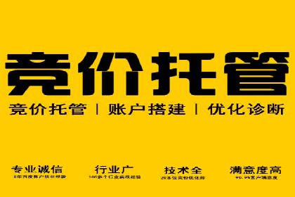 案例分析：SEM推广助力中小企业发展